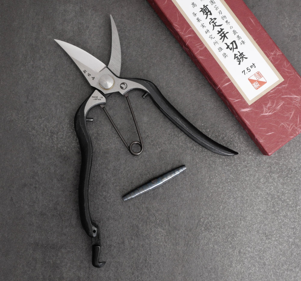 Secateurs